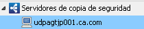 Panel Servidor de copia de seguridad