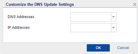 Customize DNS Update Settings
