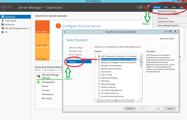 Installing .Net for report view