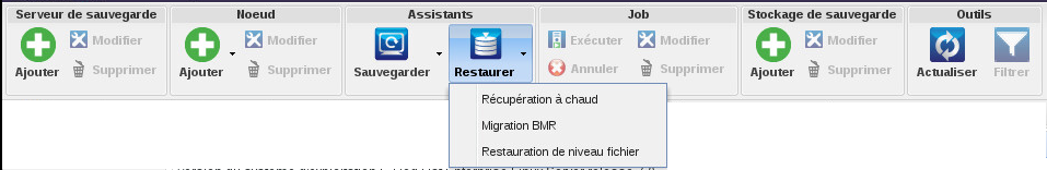 La fenêtre affiche les options de restauration dans l'Agent Linux.