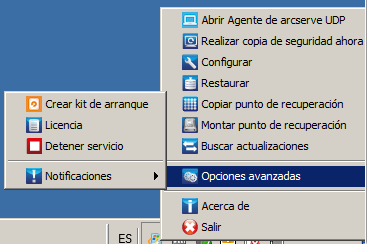 Iconos de la bandeja del controlador