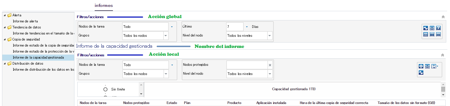 Ficha Informes
