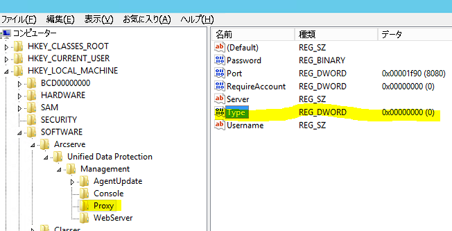 regedit でのゲートウェイ プロキシ設定検証