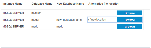 Define the Restore Options