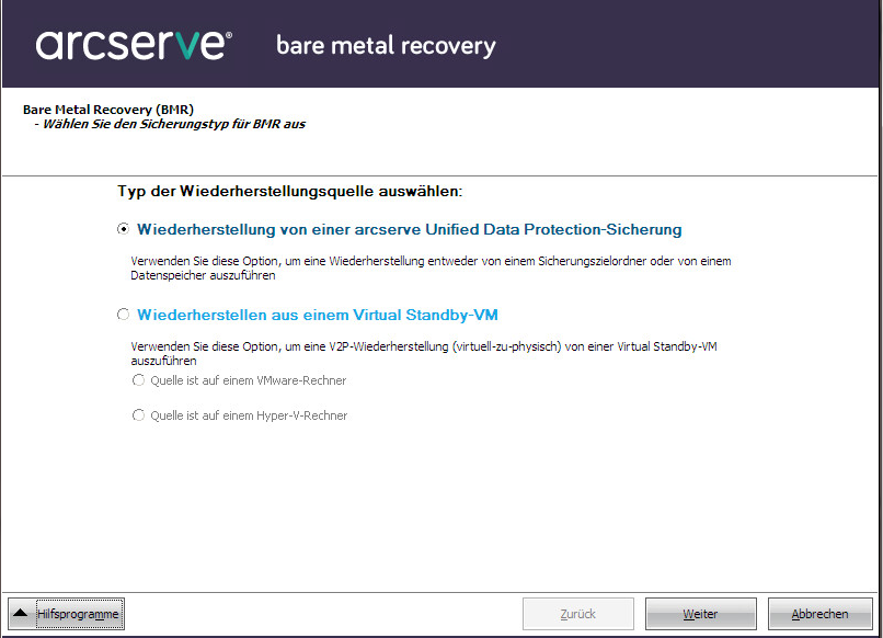 Bare-Metal-Recovery - Dialogfeld "Legen Sie einen Wiederherstellungstyp fest".