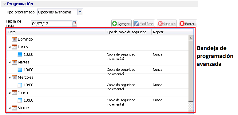 Este diagrama muestra la opción Avanzado para Tipo programado.