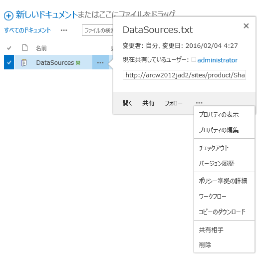 ファイル バージョンのチェック